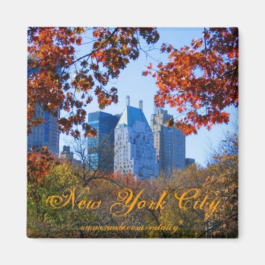 New York City magnet (Voorkant)
