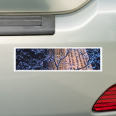 New York City Night Walk Cricket Diane Bumpersticker (Op auto)