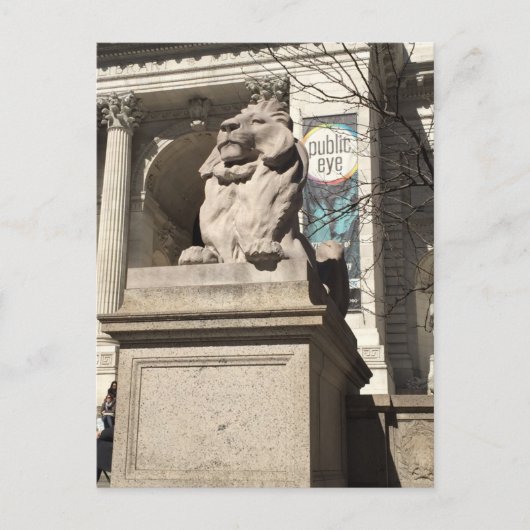 New York City NYC Public Library Lion Statue Briefkaart (Voorkant)