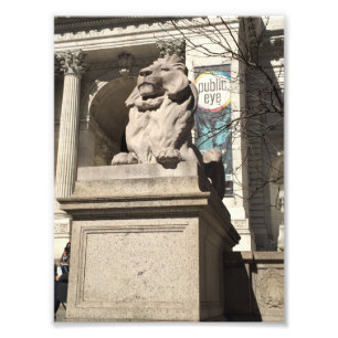 New York City NYC Public Library Lion Statue Foto Afdruk