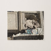 New York City NYC Public Library Lion Statue Legpuzzel (Horizontaal)