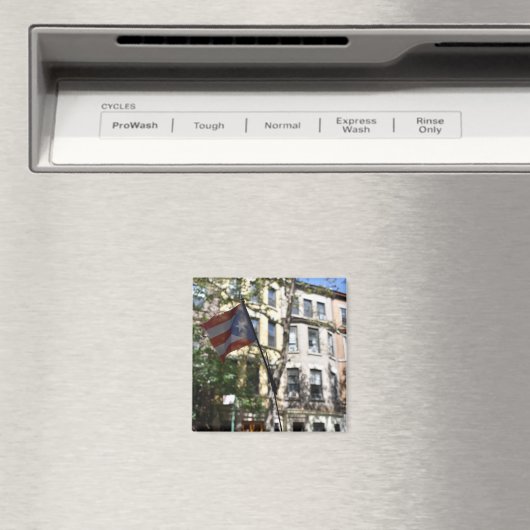 New York City NYC Puerto Ricaanse vlag Foto Magneet (Insitu (Vaatwasser))