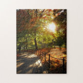 New York City Puzzle - Central Park Autumn Path Legpuzzel (Verticaal)
