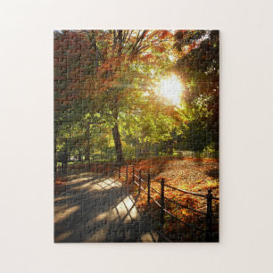 New York City Puzzle - Central Park Autumn Path Legpuzzel