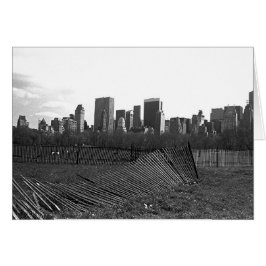 New York City Skyline van Central Park