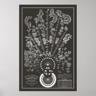 New York & Erie Railroad Org - Donker - Omtrek Poster