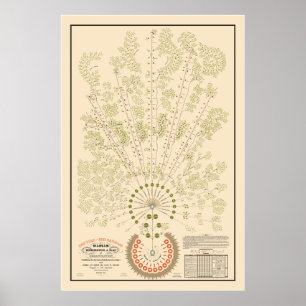 New York & Erie Railroad Org - Licht - Kleur Poster