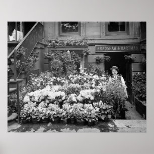 New York Flower Shop, 1895.  foto Poster