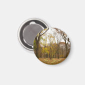 New York Fridge Magnet Central Park NYC Magnet (Voorkant / Achterkant)