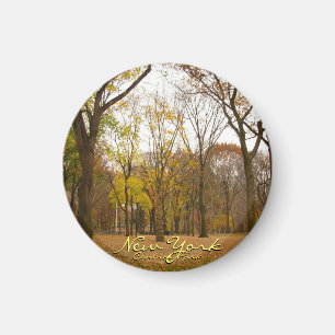 New York Fridge Magnet Central Park NYC Magnet