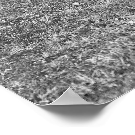 New York Giants: 1912 Poster (Hoek)