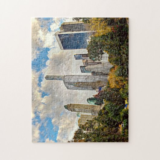 New York is het beste Central Park. Abstract. Legpuzzel (Verticaal)