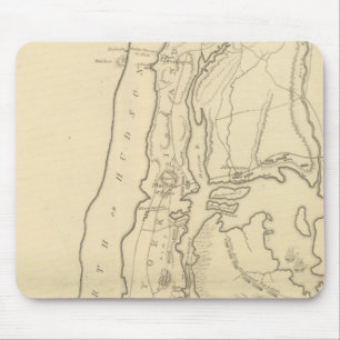New York Island, deel van Long Island Muismat