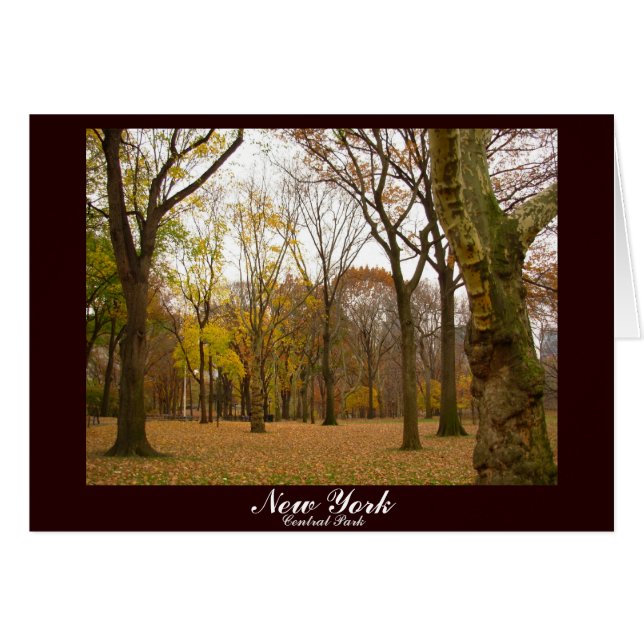 New York Kaart Central Park New York Souvenir Kaar (Voorkant Horizontaal)