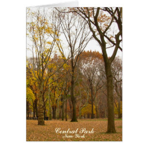 New York Kaart Central Park New York Souvenir Kaar