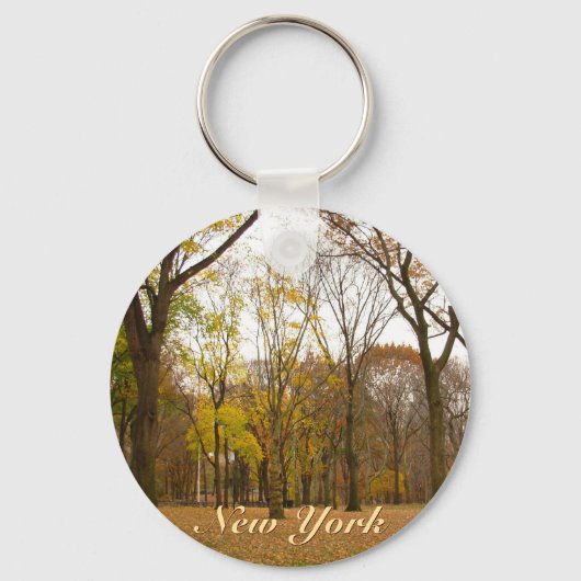 New York Landscape Sleutelhanger New York Souvenir (Voorkant)