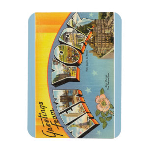 New York Magnet Magneet