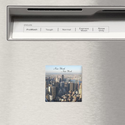 New York, New York Magneet (Insitu (Vaatwasser))