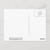 New York Rustic Building Briefkaart (Achterkant)