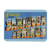 New York, Saratoga Springs magneet (Horizontaal)