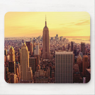 New York skyline city met Empire State Muismat