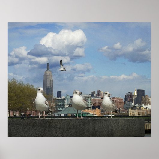 New York Skyline met Seagulls Poster (Voorkant)