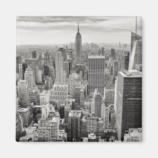 New York Skyscapers Magnet