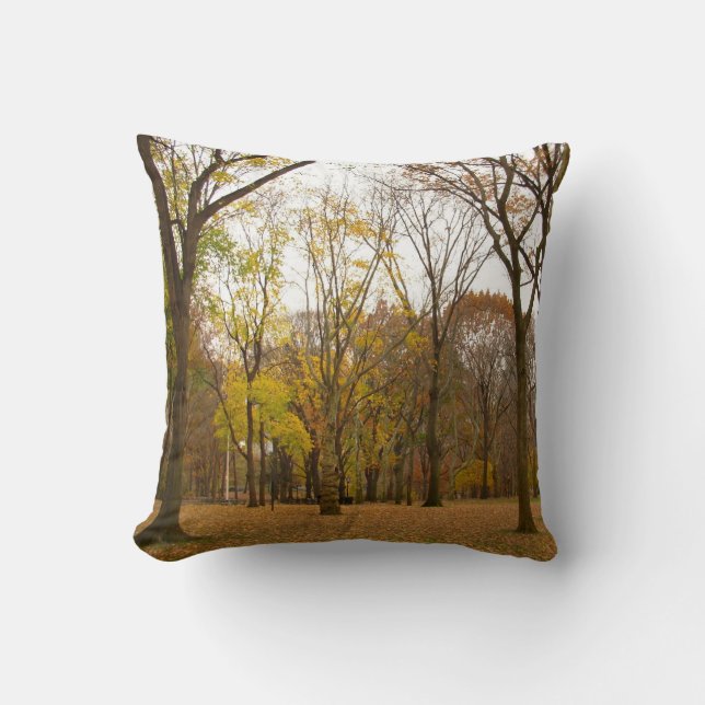 New York Souvenir Pillow NY Central Park Pillow Kussen (Voorkant)
