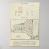 New York State atlas Poster (Voorkant)