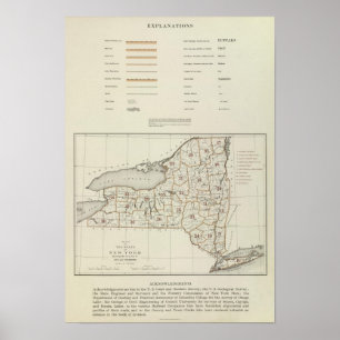 New York State atlas Poster