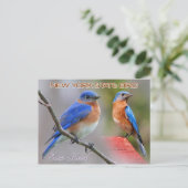 New York State Bird - Eastern Bluebird Briefkaart (Staand voorkant)