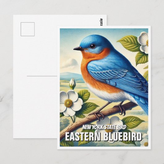 New York State Bird Oosterse Blauwvogel Briefkaart (Voorkant / Achterkant)