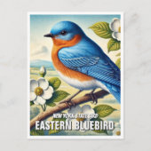 New York State Bird Oosterse Blauwvogel Briefkaart (Voorkant)