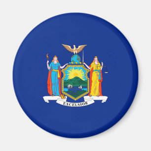 New York State Flag Design Magneet