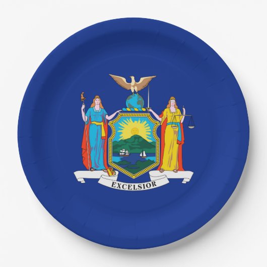 New York State Flag Design Papieren Bordje (Voorkant)
