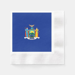 New York State Flag Design Servet