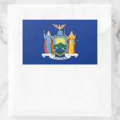 New York State Flag Sticker (Tas)