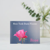 New York State Flower Pink Rose Briefkaart (Staand voorkant)
