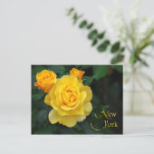 New York State Flower: Roos Briefkaart (Staand voorkant)