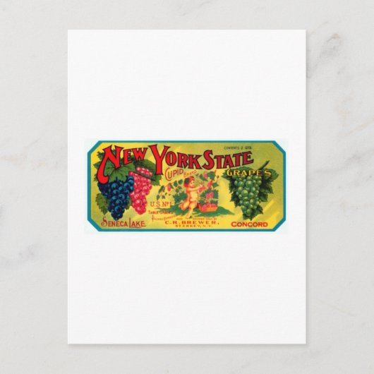 New York State Grapes Briefkaart (Voorkant)