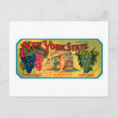 New York State Grapes Briefkaart (Voorkant)