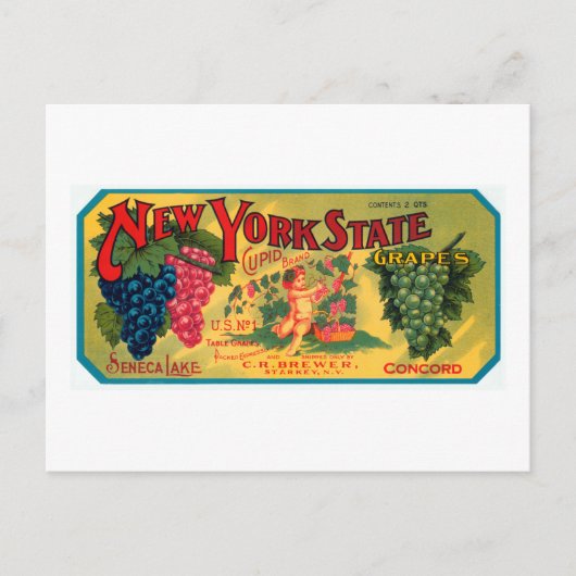 New York State Grapes Briefkaart (Voorkant)