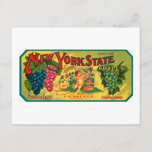 New York State Grapes en  label Briefkaart