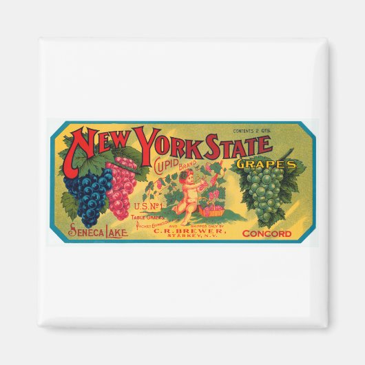 New York State Grapes Magneet (Voorkant)