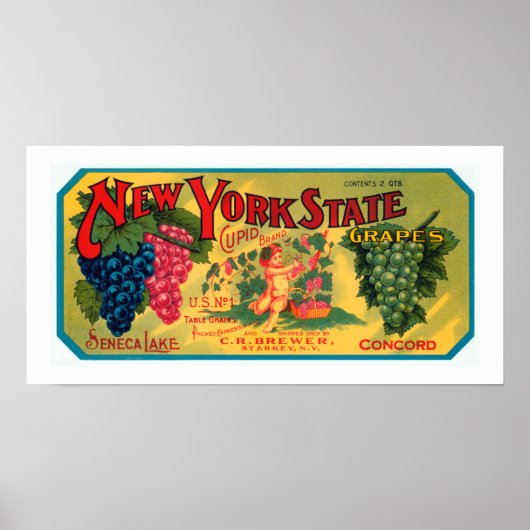 New York State Grapes Poster (Voorkant)