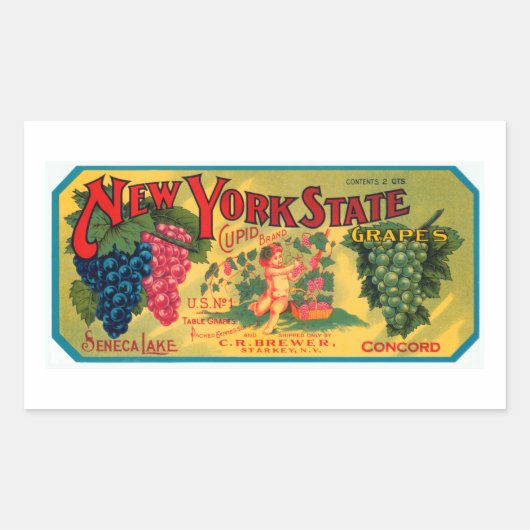 New York State Grapes Rechthoekige Sticker (Voorkant)