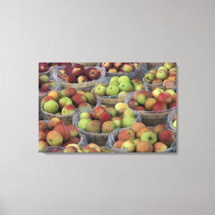 New York State Macintosh appels in manden Canvas Afdruk