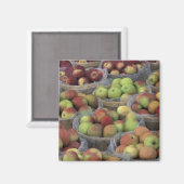 New York State Macintosh-appels in manden Magneet (Voorkant / Achterkant)