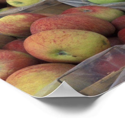 New York State Macintosh-appels in manden Poster (Hoek)