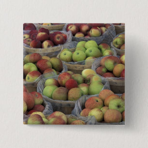 New York State Macintosh-appels in manden Vierkante Button 5,1 Cm